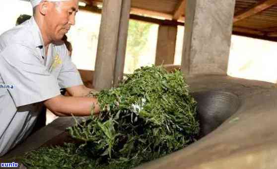 班章谷花茶的独特风味、 *** 工艺及功效：一次全面了解茶叶的探索之旅