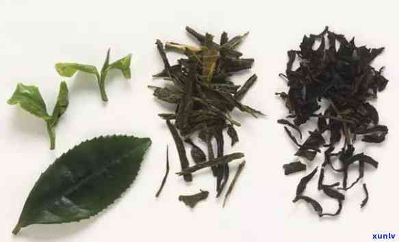 老班章拼配茶：茎梗多，色泽独特，与班章茶的区别在哪？