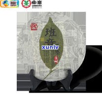 老班章春茶的独特之处：它们之间的普洱茶区别是什么？