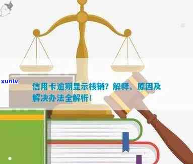 信用卡逾期银行走核销怎么办：内部处理流程与应对策略