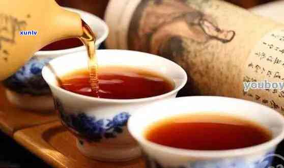 养生喝普洱还是白茶好：对比与选择，哪个更有益于身体健？