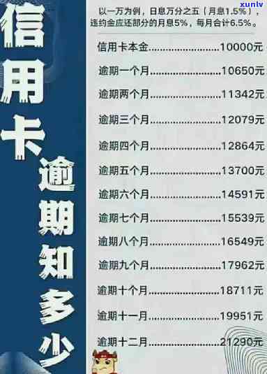 信用卡逾期还款免息攻略：如何应对、期还款及解决方案全解析