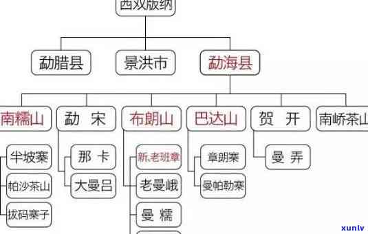 布朗山与老班章的区别：从地理位置、茶树品种、 *** 工艺到口感的全方位对比