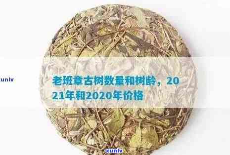 茶叶老班章古树茶价格：2021年最新价，特点功效与历涨价分析