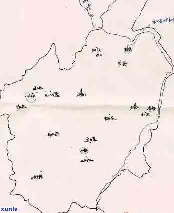 探索老班章茶：品种、产地、口感和泡法的全面指南