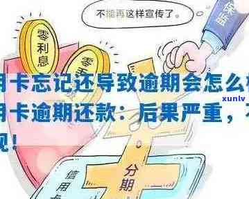 逾期信用卡还款攻略：如何妥善处理逾期款项并避免影响信用？