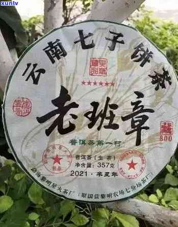 南峤茶厂班章王：普洱茶之王的诞生