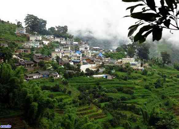 老班章：地名还是山头？探索其历、文化和地理背景