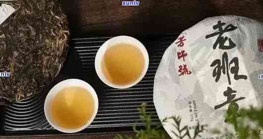 探究老班章普洱茶的真实品质与市场定位：它是否是普洱茶中的佼佼者？