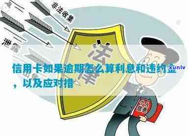 信用卡逾期利息如何冲消：解答逾期罚息与违约金问题