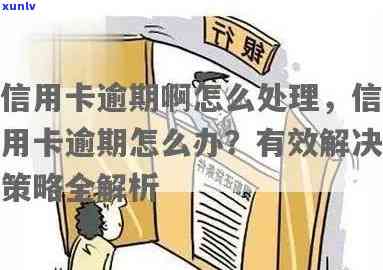 信用卡逾期七八天：处理策略与建议