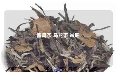 肃普洱茶加盟流程及费用详细解析