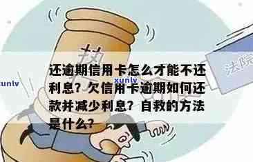 逾期还款后的关键步骤：如何避免信用卡问题并进行有效的补救