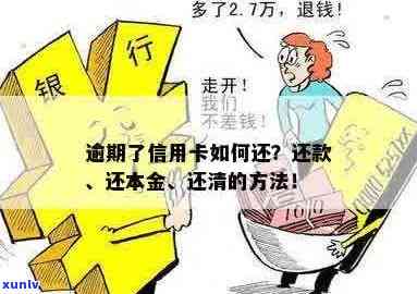 欠信用卡逾期后怎么还本金最划算？逾期的信用卡如何还款？