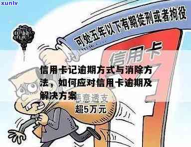 全方位解决信用卡逾期记录：预防、处理与消除的详细指南