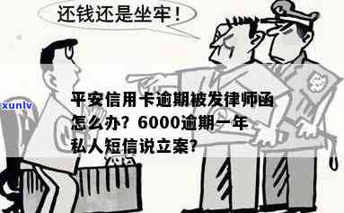 平安信用卡6000逾期一年私人短信说立案 - 如何处理逾期信用卡还款问题