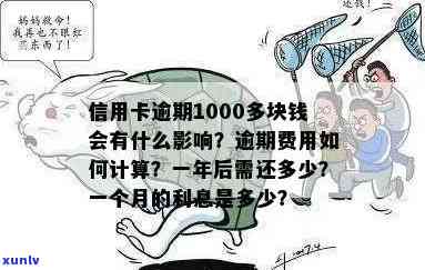 一千多张信用卡逾期还款困扰，解决方案在这里！