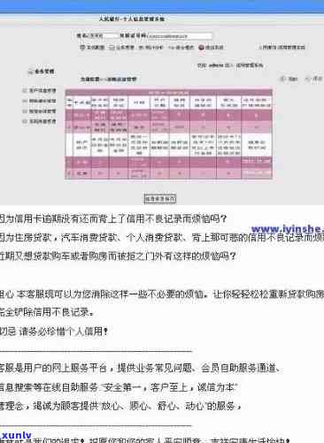 中国人民银行信用记录：逾期与查询攻略