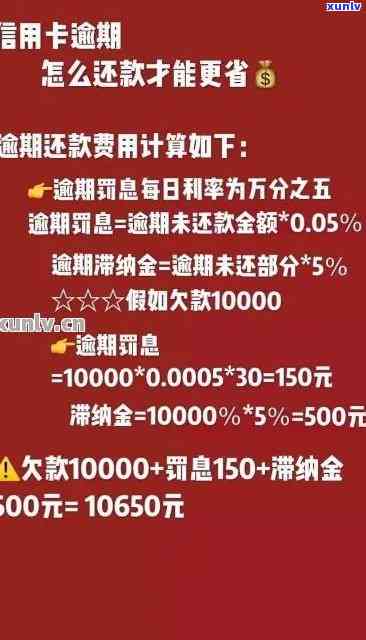 消费逾期2年信用卡