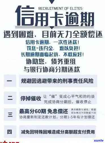 招行信用卡逾期问题全解析：如何处理、影响及解决方案，帮助您避免逾期困扰