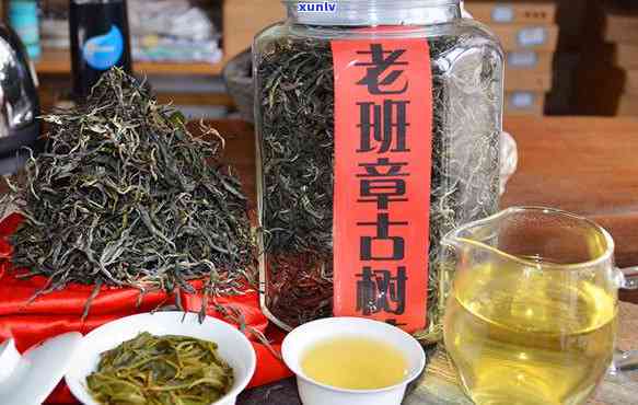 老班章村千年古茶树价格