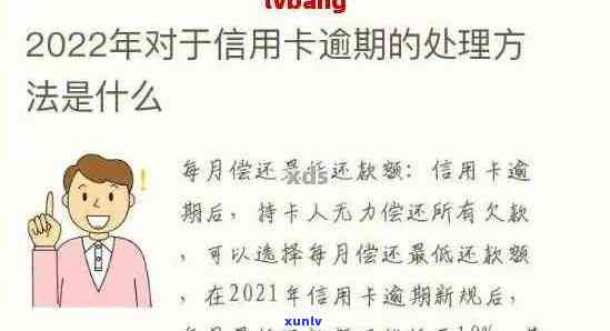 信用卡逾期有什么妙招