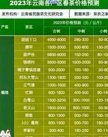 2021年老班章古树茶价格：影响因素、品质鉴别与购买建议全面解析