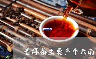 云南普洱产地哪里的茶喝？