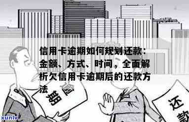 信用卡逾期还款的界定标准：金额、时间还是其他因素？全面解释和建议