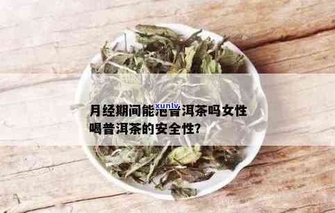 经期普洱茶：女性医生推荐的健饮品选择