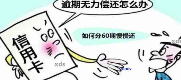 5张信用卡逾期6月，暂时无力还款怎么办