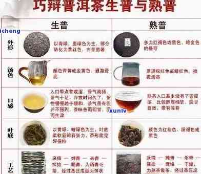 普洱茶产业：全面了解各类产品及特点，助您轻松选购与品鉴