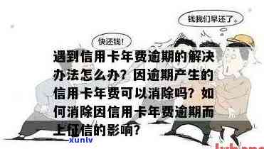 从翡翠原石的选购到标价：全面指南解答您的疑问与需求