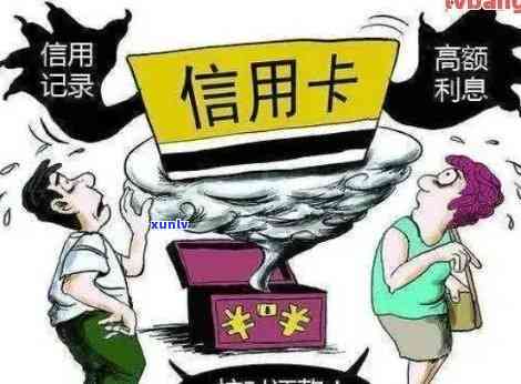 台州普洱茶招商