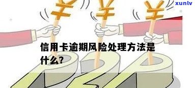 信用卡逾期风险怎么解决