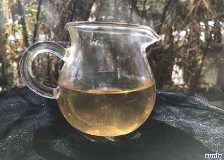 老班章千年古树茶价格与特点口感：2021年300年古树茶多少钱一斤？