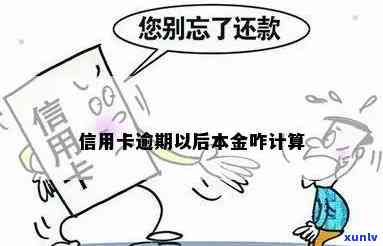 怎么核算信用卡逾期本金