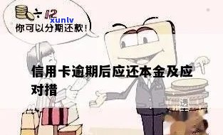 怎么核算信用卡逾期本金