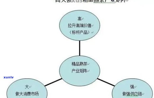 全方位了解普洱交易平台：哪些公司参与，交易类型及如何进行操作等详细解答