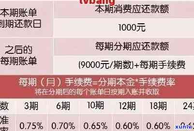 信用卡24期还款期限详解：如何计算和管理分期金额