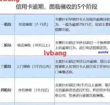 新银行信用卡逾期冲突：报警如何处理？