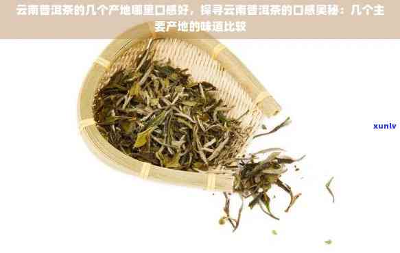 普洱茶哪个产区质量：品味云南茶香