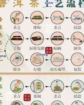 百年普洱茶：历、 *** 工艺、品鉴 *** 及收藏价值全解析