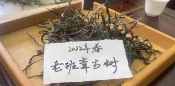 衢州老班章连锁店：优质茶叶源自每一片精选叶子