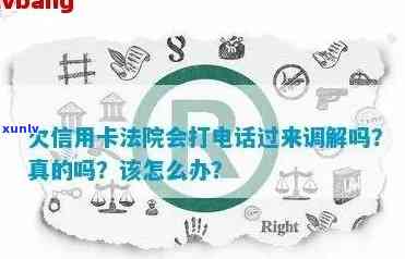 法院协助处理信用卡逾期欠款问题，通过 *** 调解解决纠纷