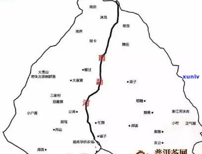 汕尾地区老班章茶及其市场价位分析