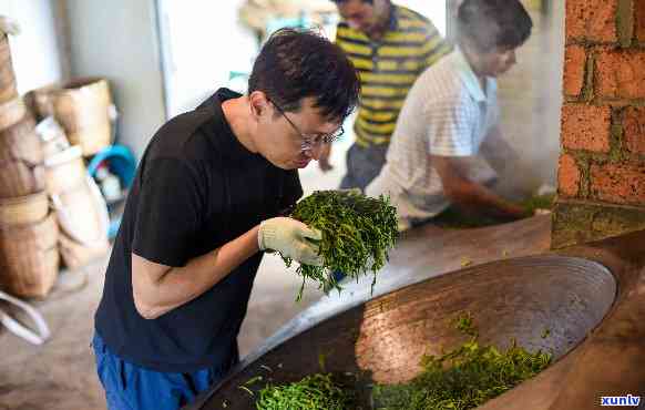 从选种到收获：老班章茶农的全过程详解，带你了解高品质茶叶背后的故事