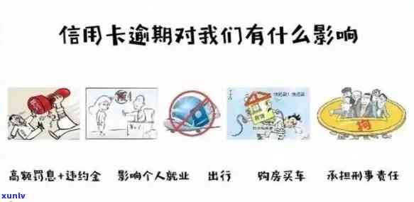 信用卡逾期案例：启示、分析及最新情况