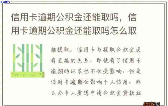 德阳信用卡逾期公积金