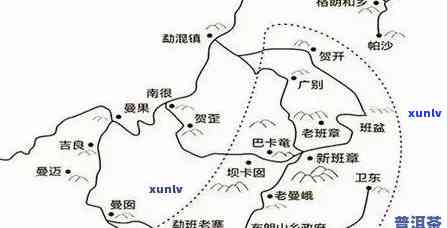 什么是老班章羽毛茶：区位、标志和寓意的深度解读